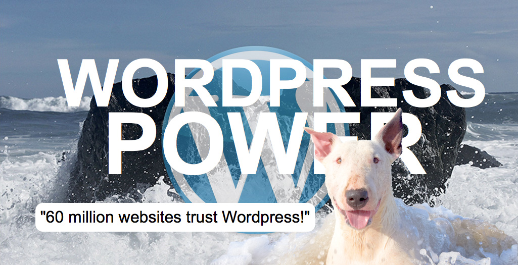 Freelance web design, development & graphic services - How i work - WordPress CMS
